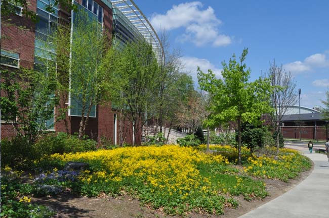 Exterior of building and plantings